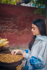 Neeli Chaandni