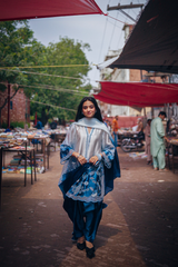 Neeli Chaandni