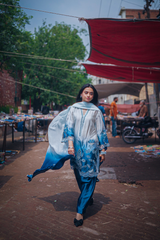 Neeli Chaandni