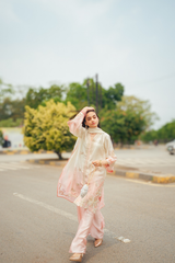 Silky Peachy