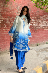 Neeli Chaandni