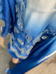 Neeli Chaandni