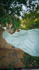 Kanwal