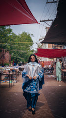 Neeli Chaandni